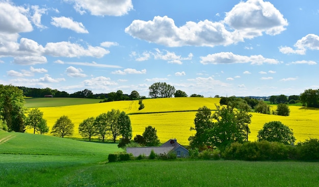 Foto weite landschaft