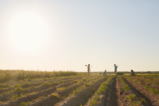 Weitwinkelansicht bei Gemüseplantage im Freien, beleuchtet von Sonnenuntergangslicht mit Silhouetten von Arbeitern in der Oberfläche, kopieren Raum