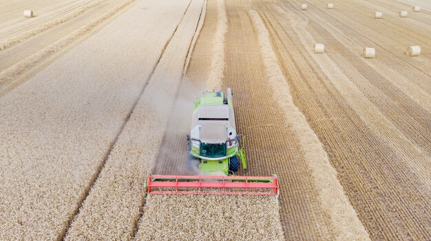 Weizenernte im Sommer. Erntemaschine, die auf dem Gebiet arbeitet.