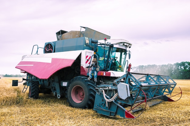 Weizenerntemaschine im Feld. Landwirtschaft.