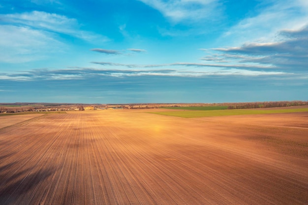 Weizenfeld mit blauem bewölktem Himmel bei Sonnenuntergang Luftaufnahme Schöne Natur