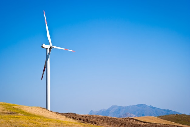 Weizenfeld mit Windmühlen