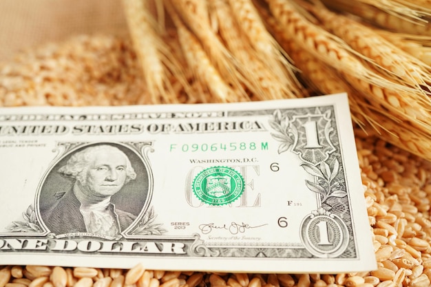 Weizenkörner mit US-Dollar-Banknoten handeln Export- und Wirtschaftskonzept