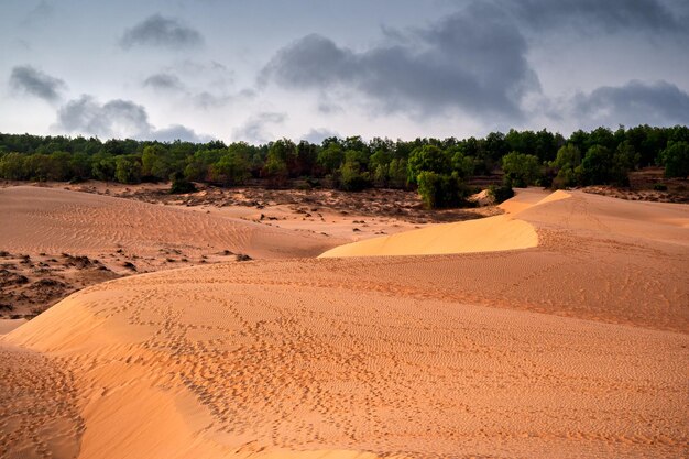 Welle der Sandwüste mit Fußabdruck am Abend