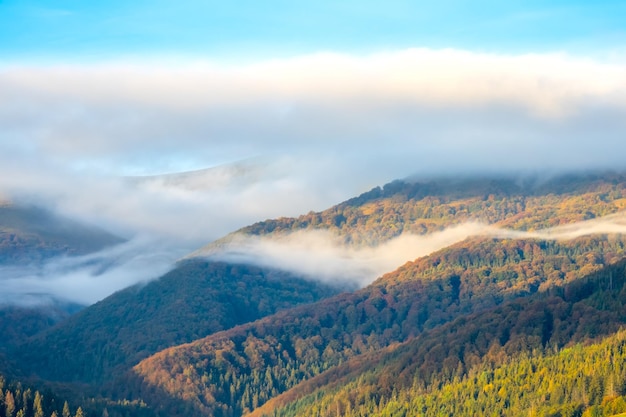 Wellen des Morgennebels in bewaldeten Bergen