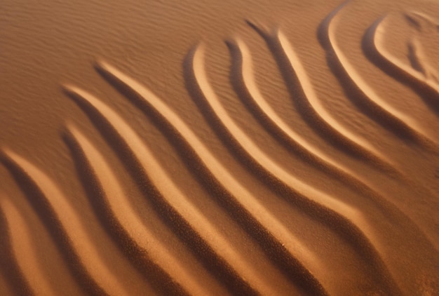 Wellen im Sand am Strand bei Sonnenuntergang.