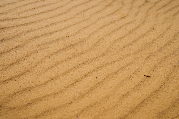 Foto wellen im sand in der wüstennahaufnahme