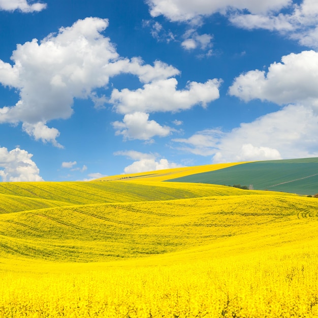 Foto wellenhügel landschaft mit bunten feldern und schönem blauem himmel im frühling oder sommer abstrakter hintergrund