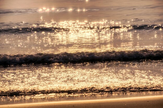 Wellenrollender goldener Strand am Morgen