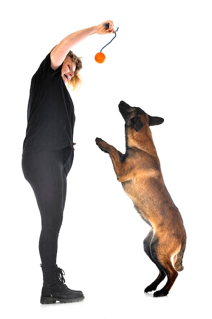 Welpe Malinois und Frau