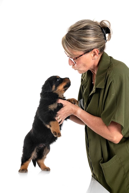 Welpe Rottweiler und Frau