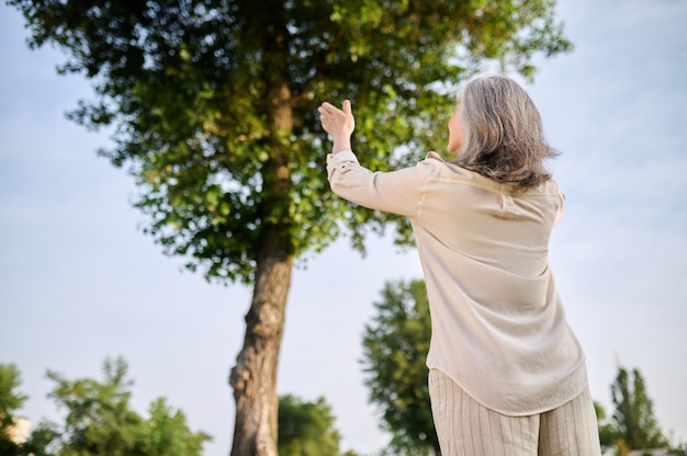 Weltanschauung. Grauhaarige Frau in leichter Kleidung mit erhobenen Händen, die an einem sonnigen Tag vor dem Baum mit dem Rücken zur Kamera im Park steht