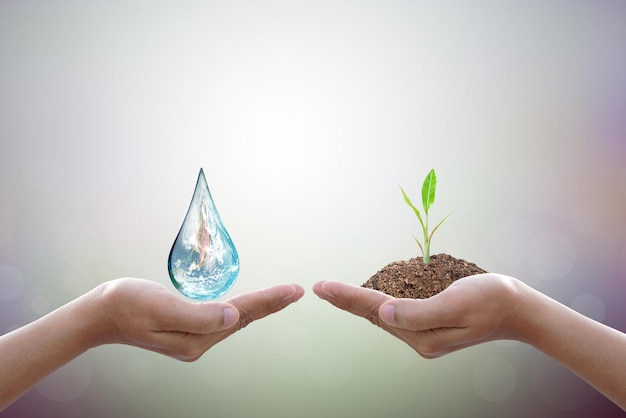 Weltwassertag Hände, die auf die Welt in Wassertropfenform auf dem Hintergrund warten, verschwommene Blumen und Himmel mit dem Licht der Sonne Elemente dieses von der NASA bereitgestellten Bildes