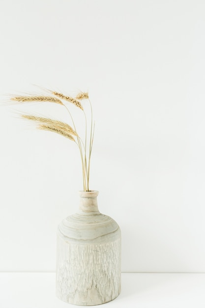 Wheat Spikes Bouquet in Holzvase auf Weiß.