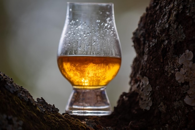 Whiskey escocês tradicional de malte único no copo Glencairn em foco seletivo
