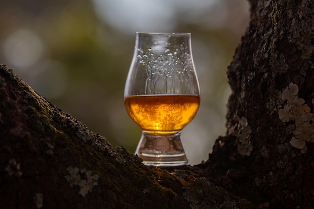 Whiskey escocês tradicional de malte único no copo Glencairn em foco seletivo