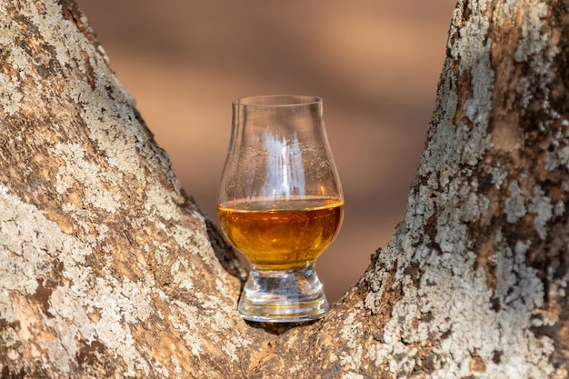 Whiskey escocês tradicional de malte único no copo Glencairn em foco seletivo