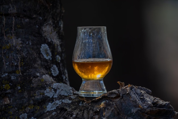 Foto whiskey escocés tradicional de una sola malta en el vaso de glencairn en enfoque selectivo