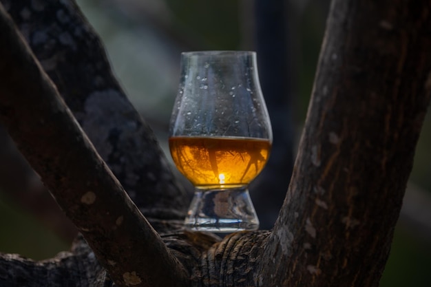 Whiskey escocés tradicional de una sola malta en el vaso de Glencairn en enfoque selectivo