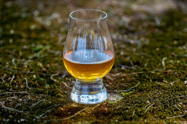 Whiskey escocés tradicional de una sola malta en el vaso de Glencairn en enfoque selectivo