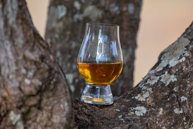 Foto whisky escocés de malta tradicional en el vaso glencairn con enfoque selectivo