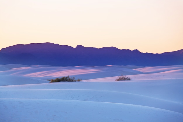 White Sands Dunes no Novo México, EUA