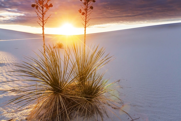 White Sands Park en EE. UU.