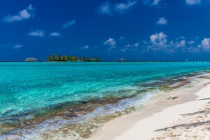 Foto white sandy beach in maldives with amazing blue lagoon