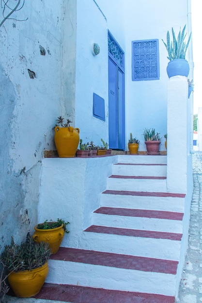 Whiteblue ciudad de Sidi Bou Said Túnez África del Norte