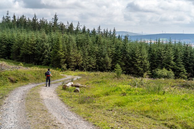 Wicklow con una chica en la pata.