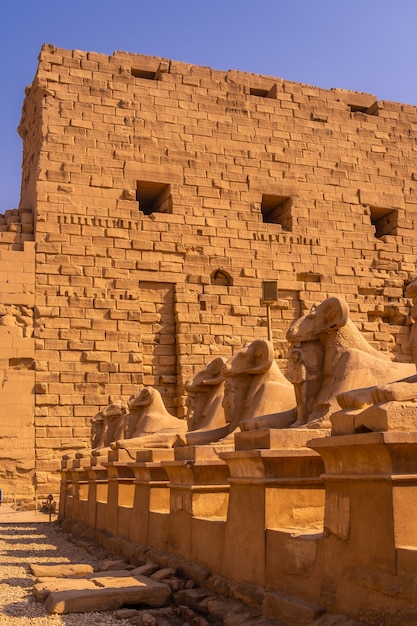 Widder am Eingang zum Tempel von Karnak, dem großen Heiligtum von Amun. Ägypten
