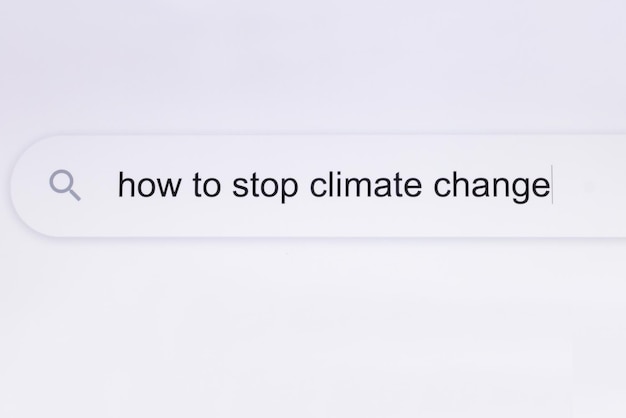 Wie man den Klimawandel stoppt PC-Bildschirm Internetbrowser Suchmaschine Bar Eingabeumgebung