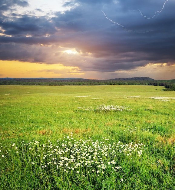 Wiese im Berg. Regenwolke und Blitz. Naturzusammensetzung.