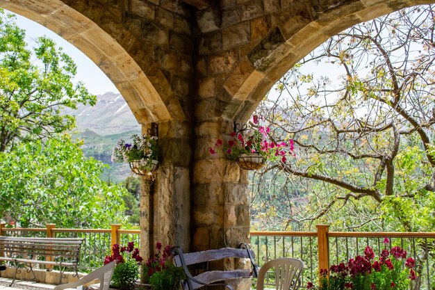 Foto wiese im freien, berge des libanon, leiterpflanzen, innenhof