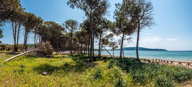 Foto wiese in der nähe des strandes von mugoni