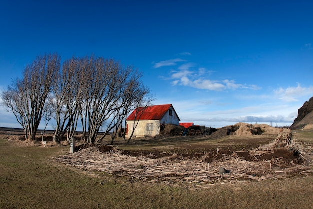 Wiese in Island mit Haus und Bäumen