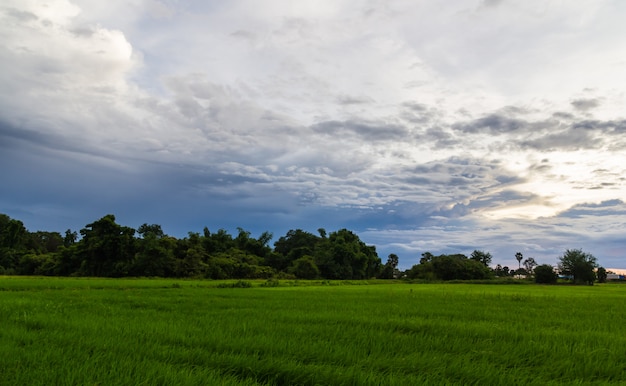 Wiese mit Wolken nahe der Dämmerung