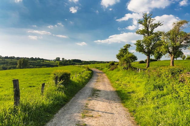 Wiese und Straße in der Nähe von Aachen Deutschland