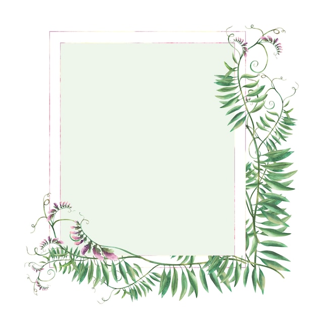 Wiese Unkraut Gras Maus Erbsen Wildblumen Zweig Karte Vorlage Kletterpflanze mit rosa Blüten Knospen und