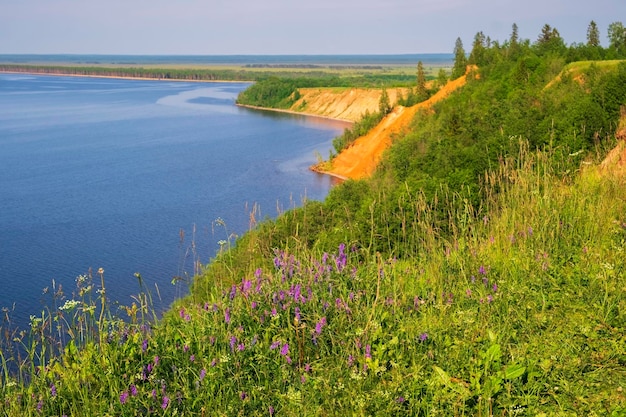 Wiesen- und Blumenblick auf Kap Andoma und Berge am Onegasee in der Republik Karelien Russland im Sommer