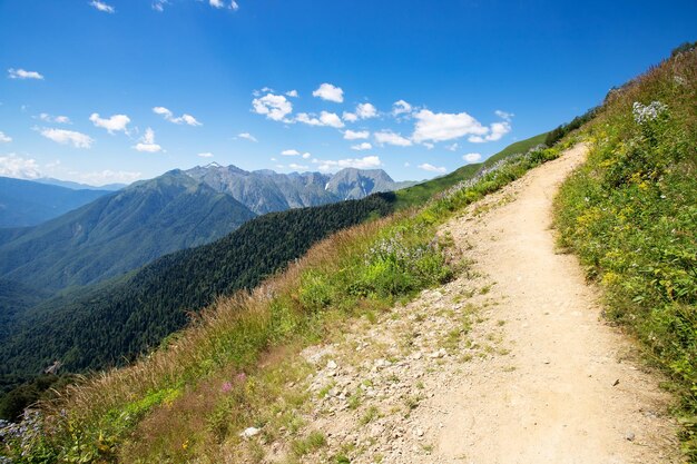 Wiesen und Felder Berglandschaft mit grünem Gras und Himmel