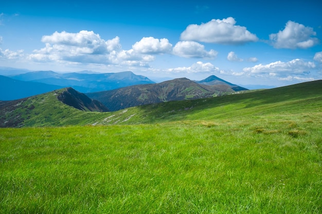 Wiesenberglandschaft des grünen Grases