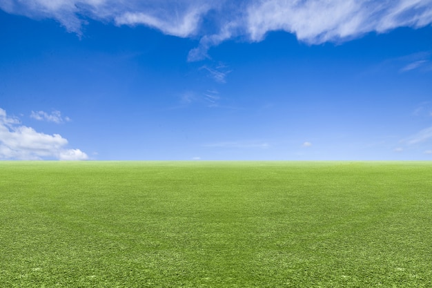 Wiesenfeld mit blauem Himmelshintergrund