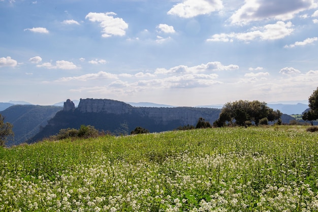 Foto wiesenflächen in den bergen