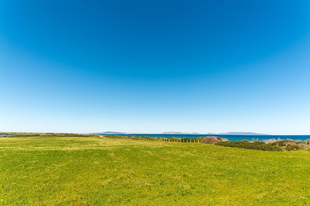 Wiesenlandschaft nahe dem Strand