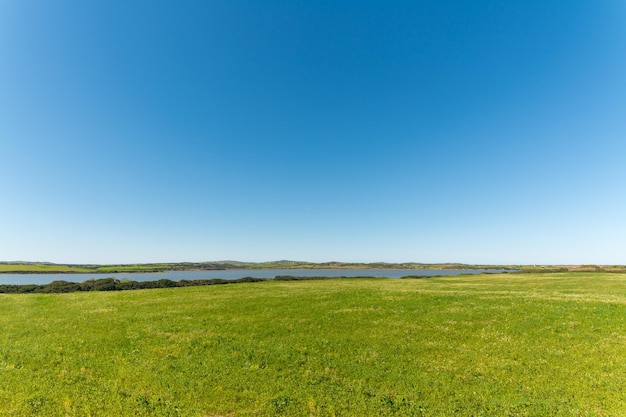 Wiesenlandschaft nahe dem Strand