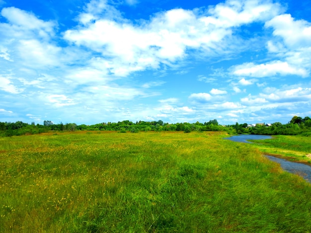 Wiesenlandschaft