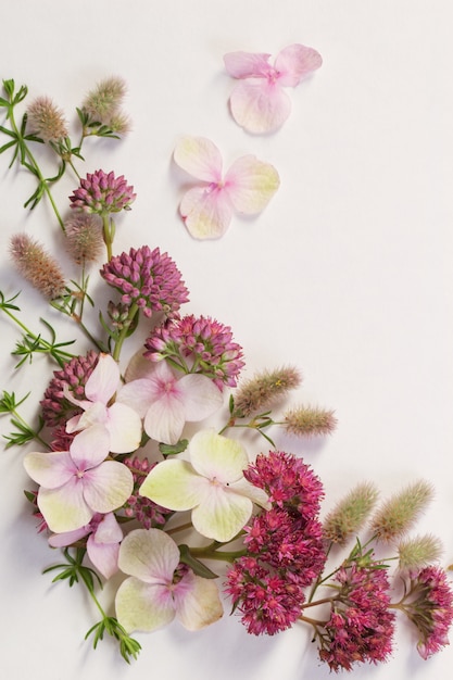 Wildblumen auf weißem Papierhintergrund