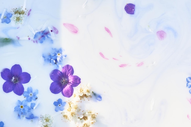 Wildblumen in milchigem Wasser mit Farbstreifen Violett und Blau Abstraktion Hintergrundbild Zärtlichkeit und Schwerelosigkeit