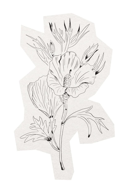 Wildblumen-png-Linienkunst-Aufkleber Lila-Hibiskus-Collage-Element auf durchsichtigem Hintergrund